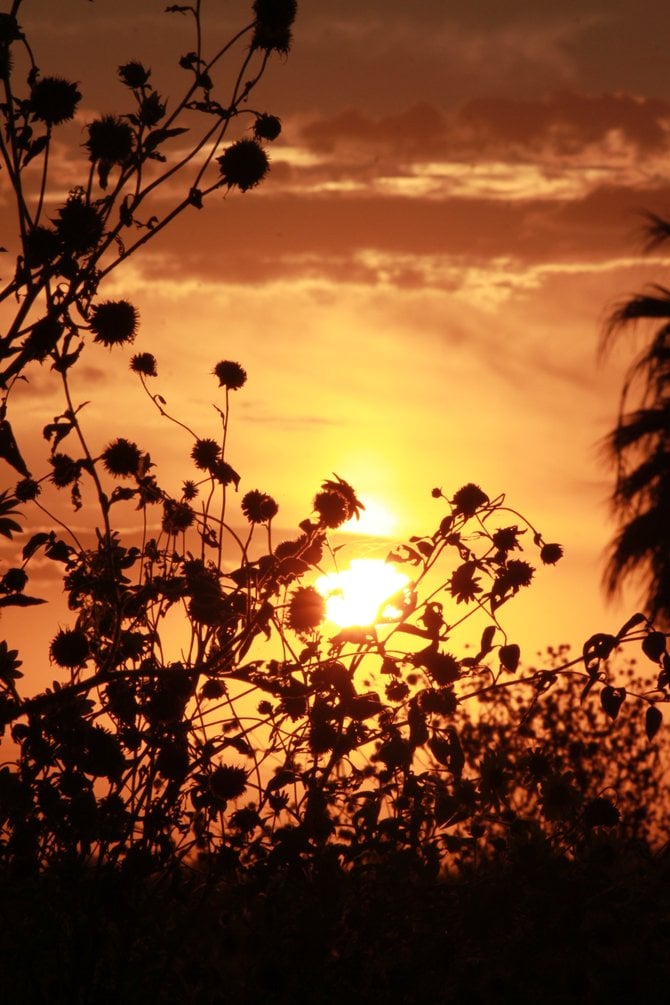 A hot summer sunset in Heber, CA.  This photo was taken on the shoulder of Dogwood Road looking West.