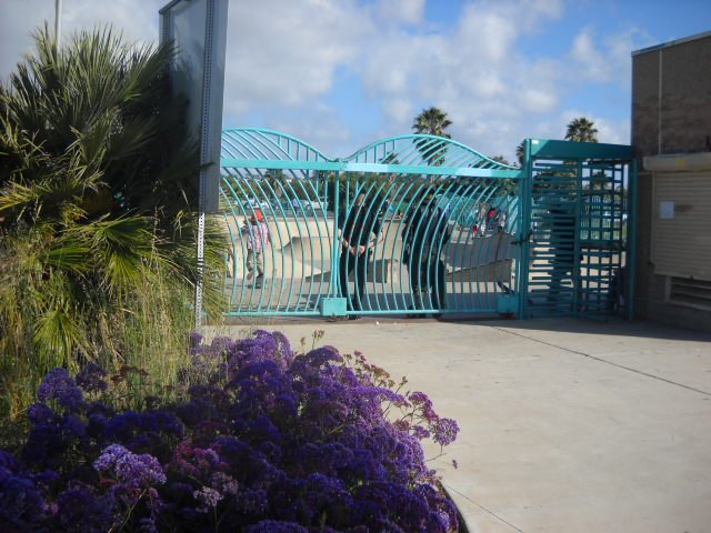 OB Skateboard Park in springtime.