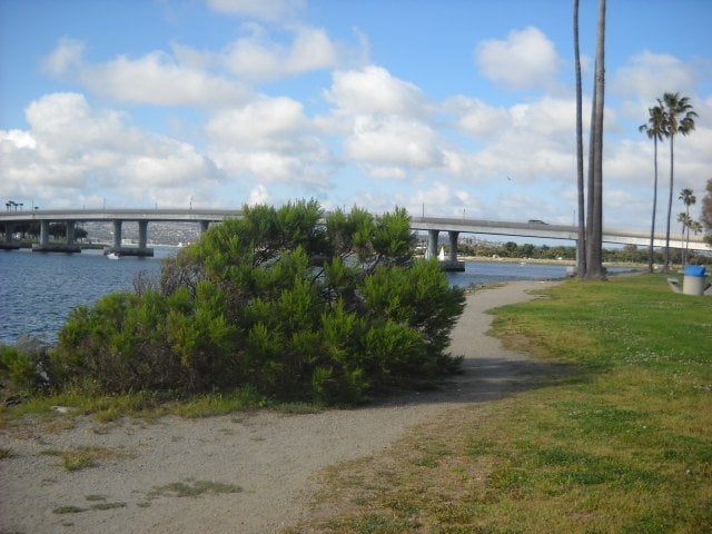 Overlooking Mission Bay from the bike path.