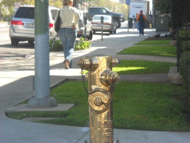 Gilded fire hydrant in Banker's Hill.