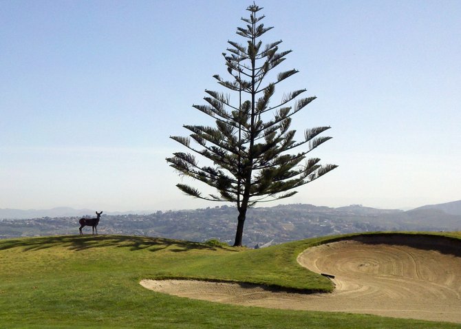 Encinitas Ranch Golf Course on a magnificent Spring morning. Taken with smart phone camera.