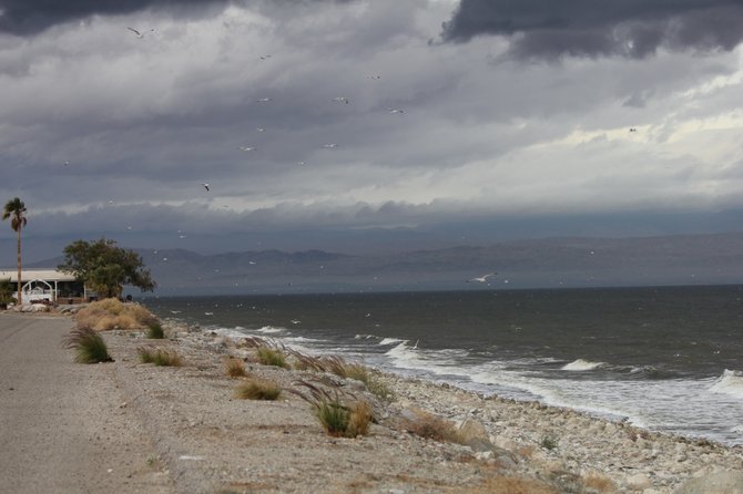 Stormy weather at the Salton Sea.
"it's a Vilma!"  Vilma Ruiz Pacrem