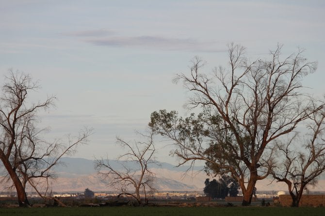 A chilly morning in the Imperial Valley, the mountains in the background are the I-8 West towards San Diego, CA.
"it's a Vilma!"  Vilma Ruiz Pacrem