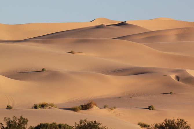 The Sand Dunes near Winterhaven, CA. in the Imperial Valley are waiting for you!
"it's a Vilma!"  Vilma Ruiz Pacrem