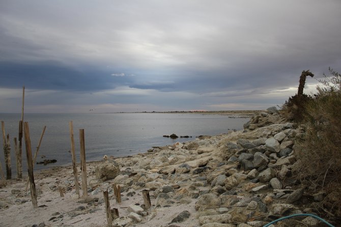 The Salton Sea and it's hidden beauty, looking East near Hwy 86 on a stormy morning.
"it's a Vilma!"  Vilma Ruiz Pacrem