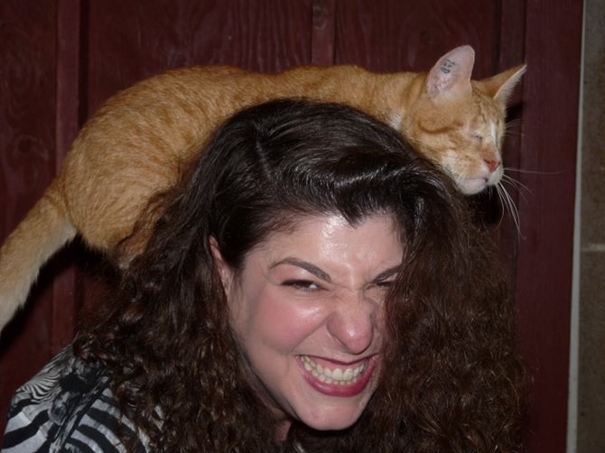 My friend and I volunteered at a local animal sanctuary called the Boo Boo Zoo. This was the cat room. This particular cat had no eyes, climbed on me rubbed in my hair and was a total sweetie. If I could have, I would have taken him home but believe it or not I'm allergic to cats.