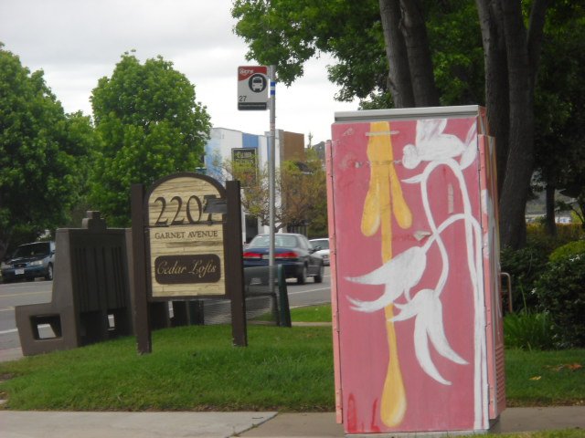 Lovely floral utility box art along Garnet Ave. near Olney Street.
