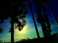 photo thumbnail