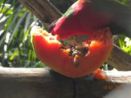photo thumbnail