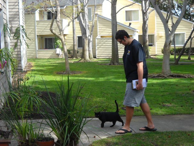 A boy and his OB (feral) cat.