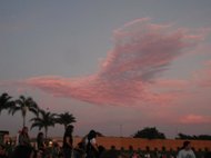 photo thumbnail