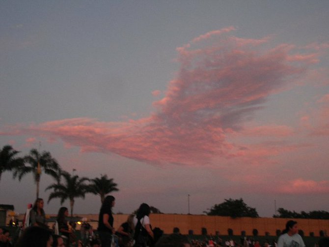 Bird in the clouds over Cricket Wireless Theater- John Mayer concert 2010.