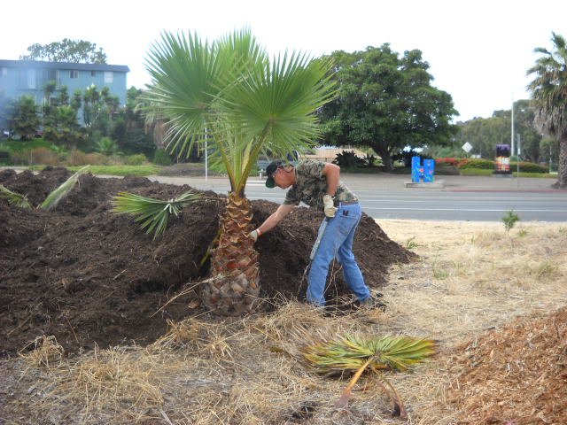 Rock Church Do Something crew tackling weed-choked lot in Ocean Beach.