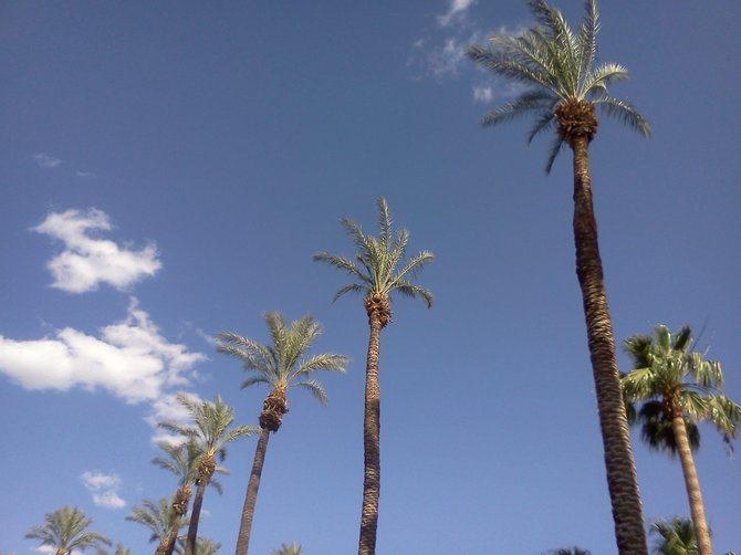 A typical view in Palm Desert