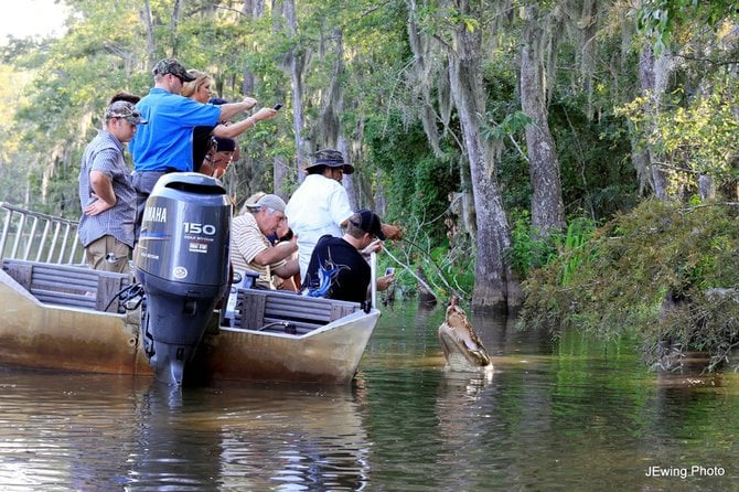 Swamp tour.