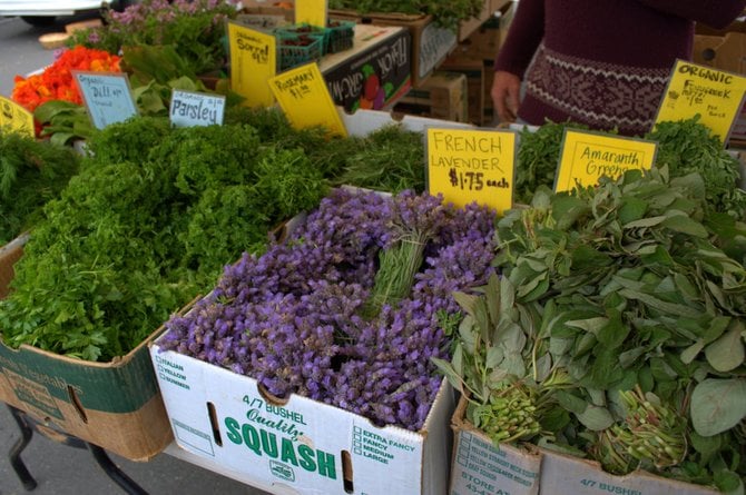 Farmers market in Santa Barbara