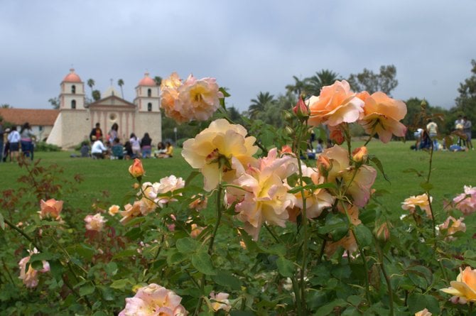 Perspective of the Santa Barbara Mission from the Rose Garden.