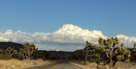 Joshua Tree National Park