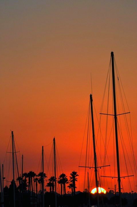 Harbor sunset.
