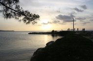 photo thumbnail