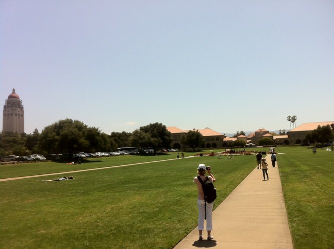 Stanford lawn