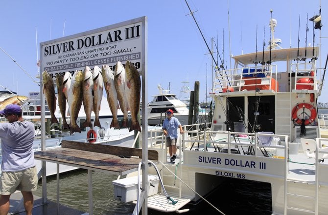 A boat load of Red Fish.