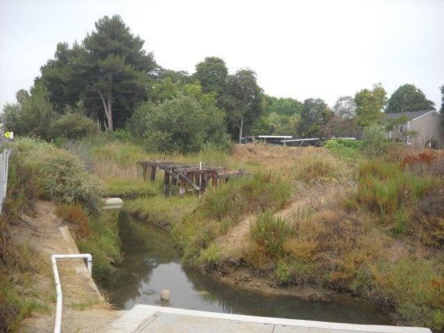 Summertime at Famosa Slough.