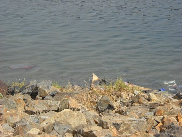 Piece of plywood in the San Diego river bed used to save a
a woman who careened off the freeway and landed trapped in the water.