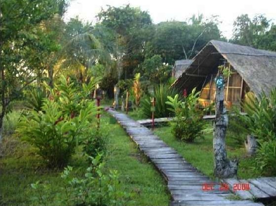 jungle digs, Orinoco Delta Lodge