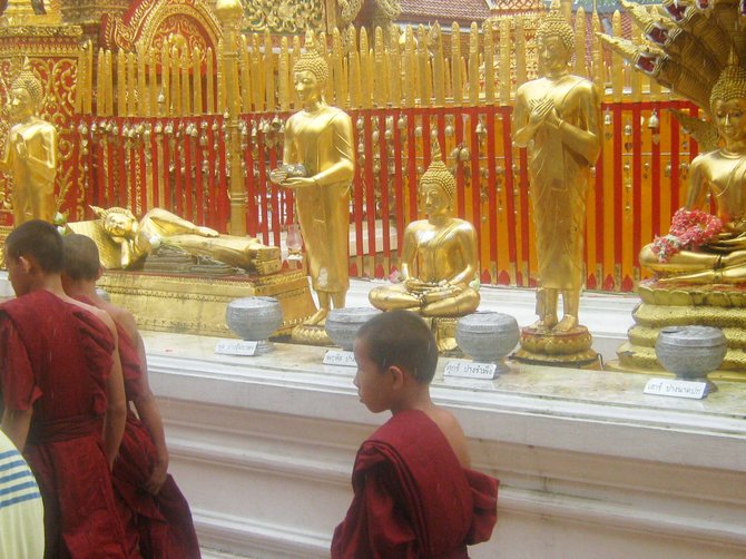 Young monks walk alongside golden Buddhas at a temple in Chiang Mai, Thailand.