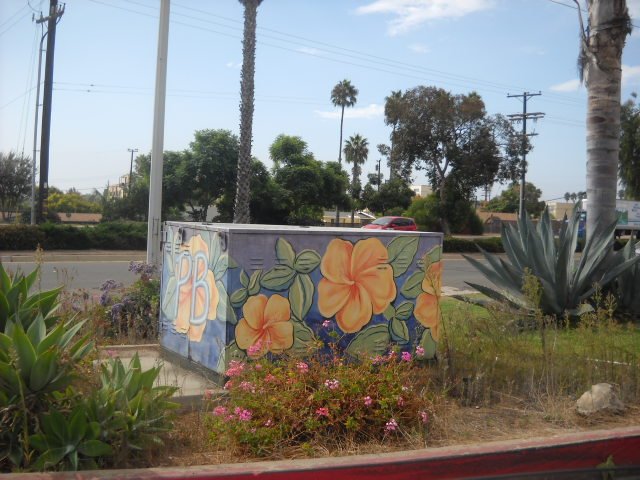 Hibiscus flower-inspired utility box art in Pacific Beach.