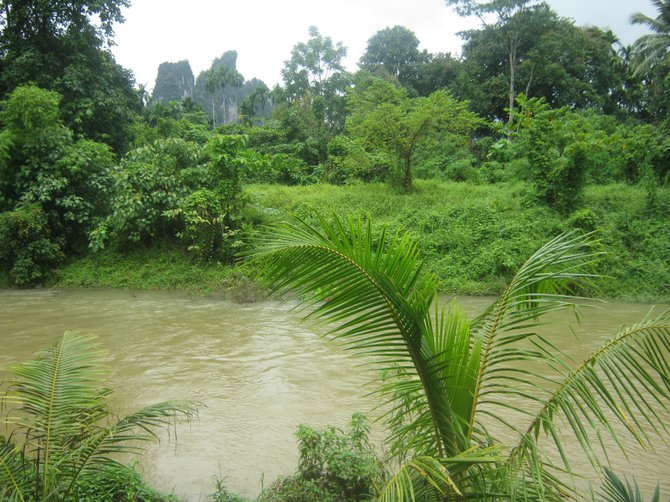 River in lush Khao Sok rainforest