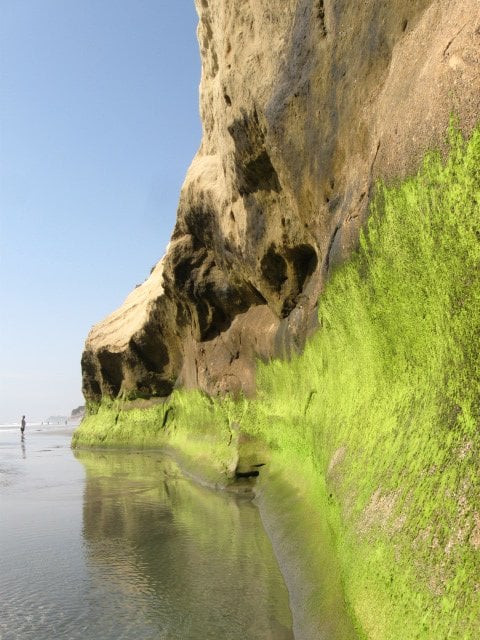 The Hermit & The Cliff: There's an old man staring into the cliff at Solana Beach.