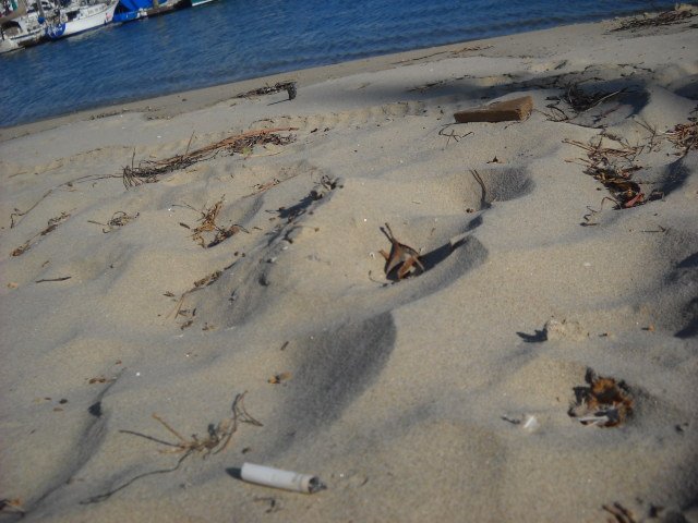 Cigarette butt trash along San Diego Bay beaches.