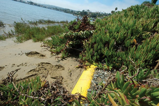 An exposed piece of the fuel pipeline, which runs from Point Loma to Miramar. - Image by Alan Decker