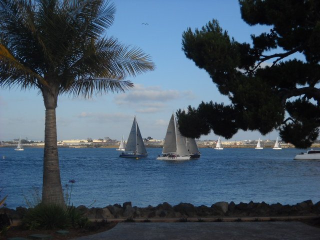Boats sailing in San Diego Bay along Shelter Island.