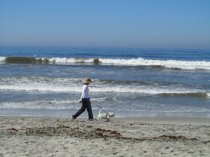 While walking on the doggie beach, Del Mar, 15th Street, my car was being broken into ... :(