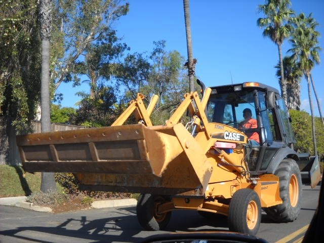 City crews cleaning up along Santa Barbara Avenue in Point Loma after a windy storm that drops palm fronds like crazy!