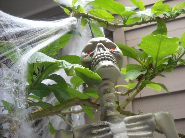 Halloween ghoul hanging in Ocean Beach.