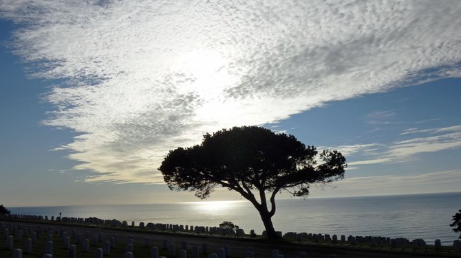 Taken on a visit to Fort Rosecrans National Cemetery, Point Loma, on November 13, 2011.