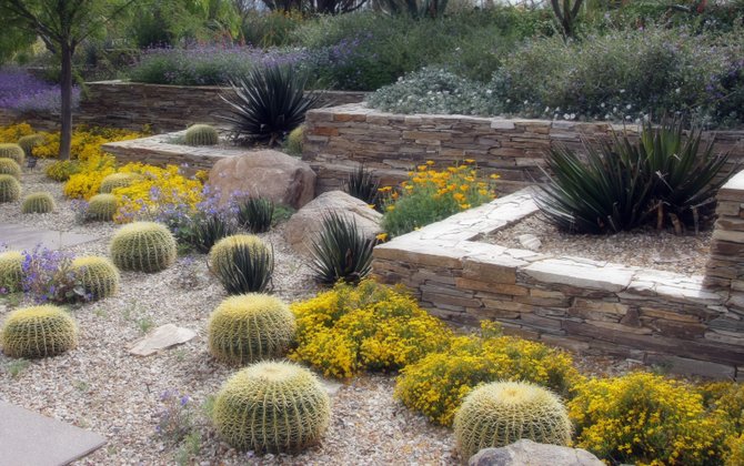 Waterwise display at the Desert Botanical Garden in Phoenix, AZ