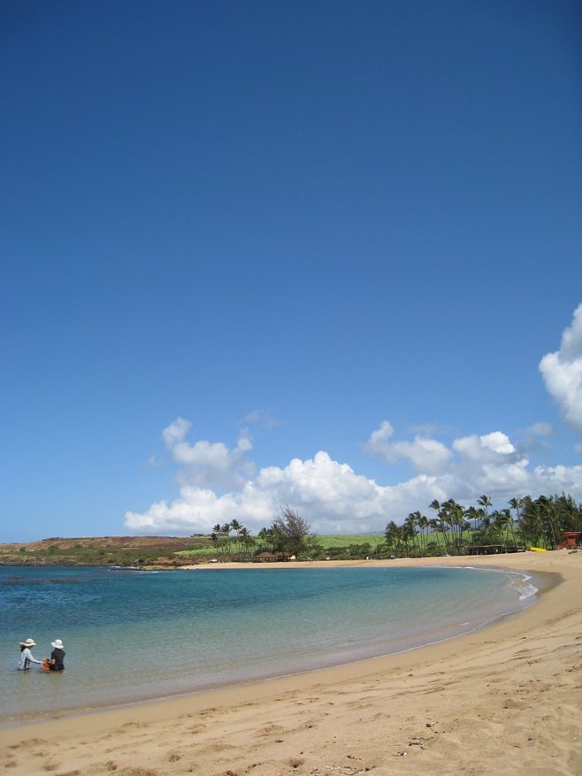 Hawaii photo