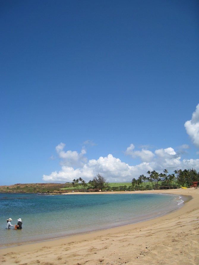 Salt Pond Beach 
Kauai