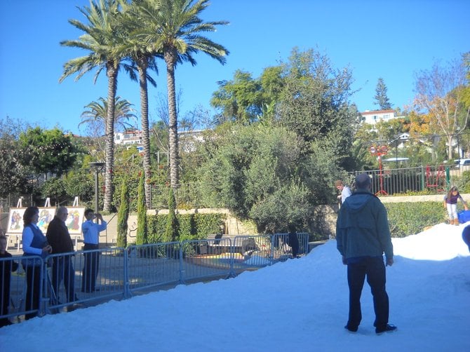 Palm trees and snow-a great California combination!