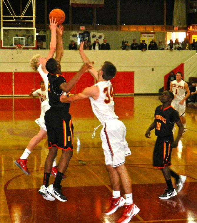 Torrey Pines guard Alec Wulff pulls down a rebound in the lane