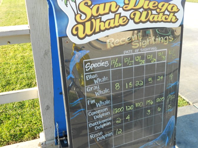 Whale Watching tally at Seaforth Marina.
