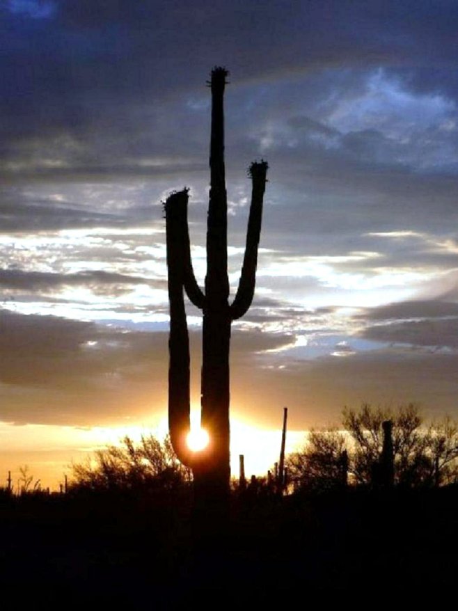 Arizona photo