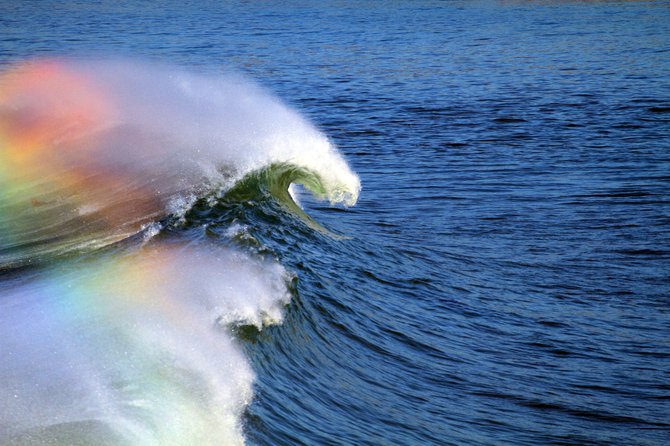 The year's first swell hits San Diego. This was taken in La Jolla over looking the cove.