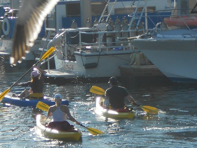 Kayakers at Mission Bay.