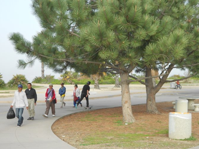 Skate board park at Robb Field.